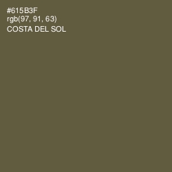 #615B3F - Costa Del Sol Color Image