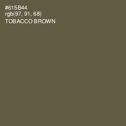#615B44 - Tobacco Brown Color Image