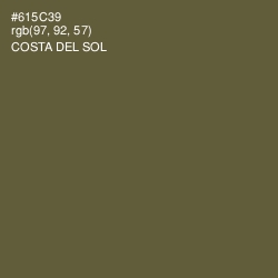 #615C39 - Costa Del Sol Color Image