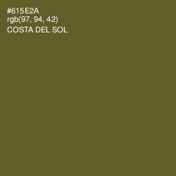 #615E2A - Costa Del Sol Color Image