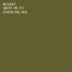 #615F2F - Costa Del Sol Color Image