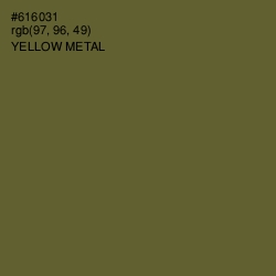 #616031 - Yellow Metal Color Image