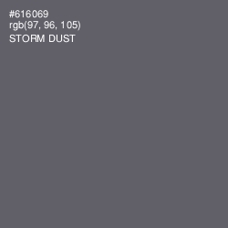 #616069 - Storm Dust Color Image