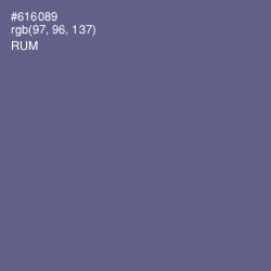 #616089 - Rum Color Image