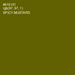 #616101 - Spicy Mustard Color Image