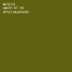 #616110 - Spicy Mustard Color Image