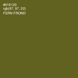 #616120 - Fern Frond Color Image