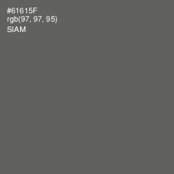#61615F - Siam Color Image