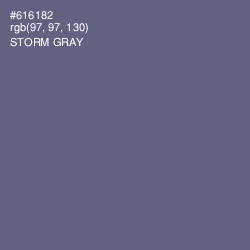 #616182 - Storm Gray Color Image