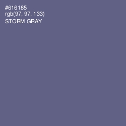 #616185 - Storm Gray Color Image