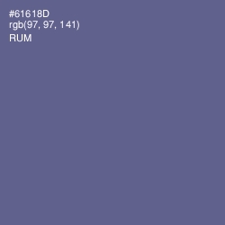 #61618D - Rum Color Image