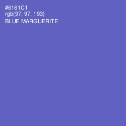 #6161C1 - Blue Marguerite Color Image