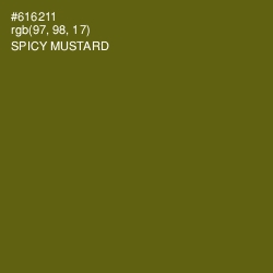 #616211 - Spicy Mustard Color Image