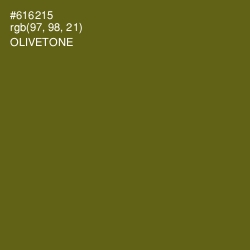 #616215 - Olivetone Color Image