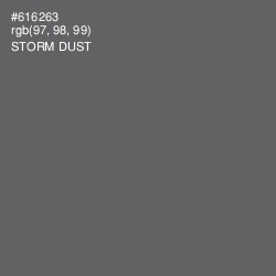 #616263 - Storm Dust Color Image