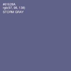#61628A - Storm Gray Color Image