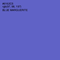 #6162C5 - Blue Marguerite Color Image