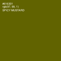 #616301 - Spicy Mustard Color Image