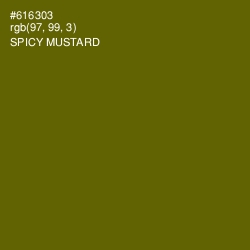 #616303 - Spicy Mustard Color Image