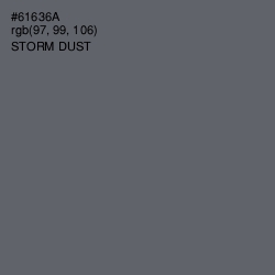 #61636A - Storm Dust Color Image