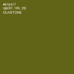 #616417 - Olivetone Color Image