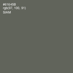 #61645B - Siam Color Image