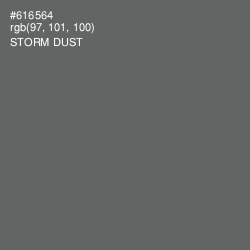 #616564 - Storm Dust Color Image