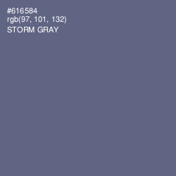 #616584 - Storm Gray Color Image