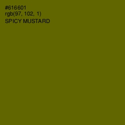 #616601 - Spicy Mustard Color Image