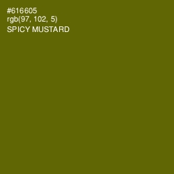 #616605 - Spicy Mustard Color Image