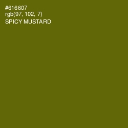 #616607 - Spicy Mustard Color Image