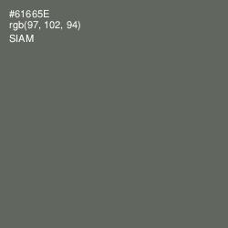 #61665E - Siam Color Image
