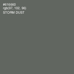 #616660 - Storm Dust Color Image