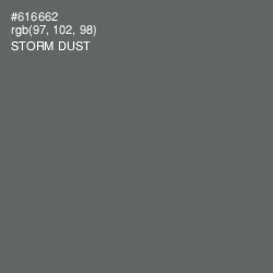 #616662 - Storm Dust Color Image