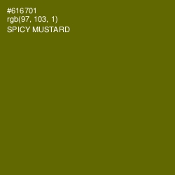 #616701 - Spicy Mustard Color Image