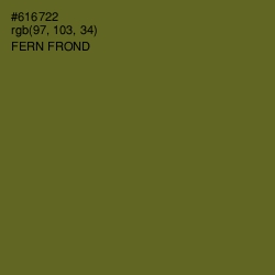 #616722 - Fern Frond Color Image