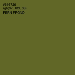 #616726 - Fern Frond Color Image