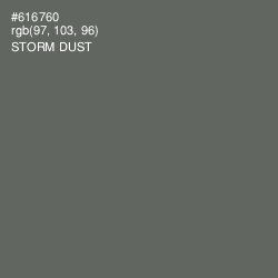 #616760 - Storm Dust Color Image