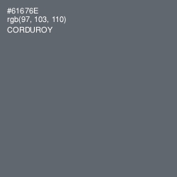 #61676E - Corduroy Color Image