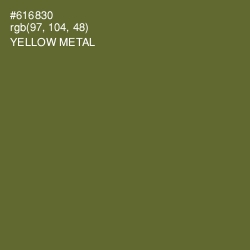 #616830 - Yellow Metal Color Image