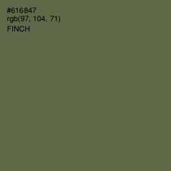 #616847 - Finch Color Image