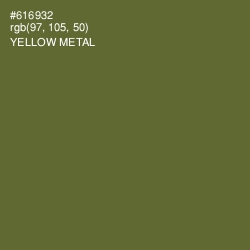 #616932 - Yellow Metal Color Image