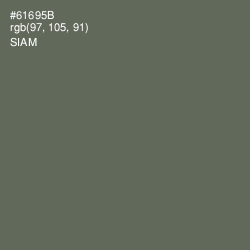 #61695B - Siam Color Image