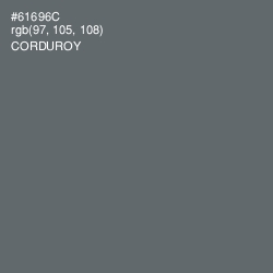 #61696C - Corduroy Color Image