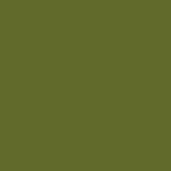 #616A2B - Fern Frond Color Image