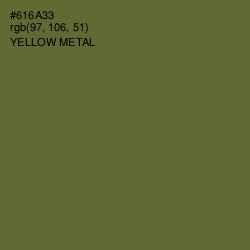 #616A33 - Yellow Metal Color Image