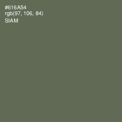 #616A54 - Siam Color Image