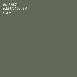 #616A57 - Siam Color Image