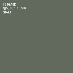 #616A5D - Siam Color Image