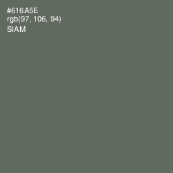 #616A5E - Siam Color Image
